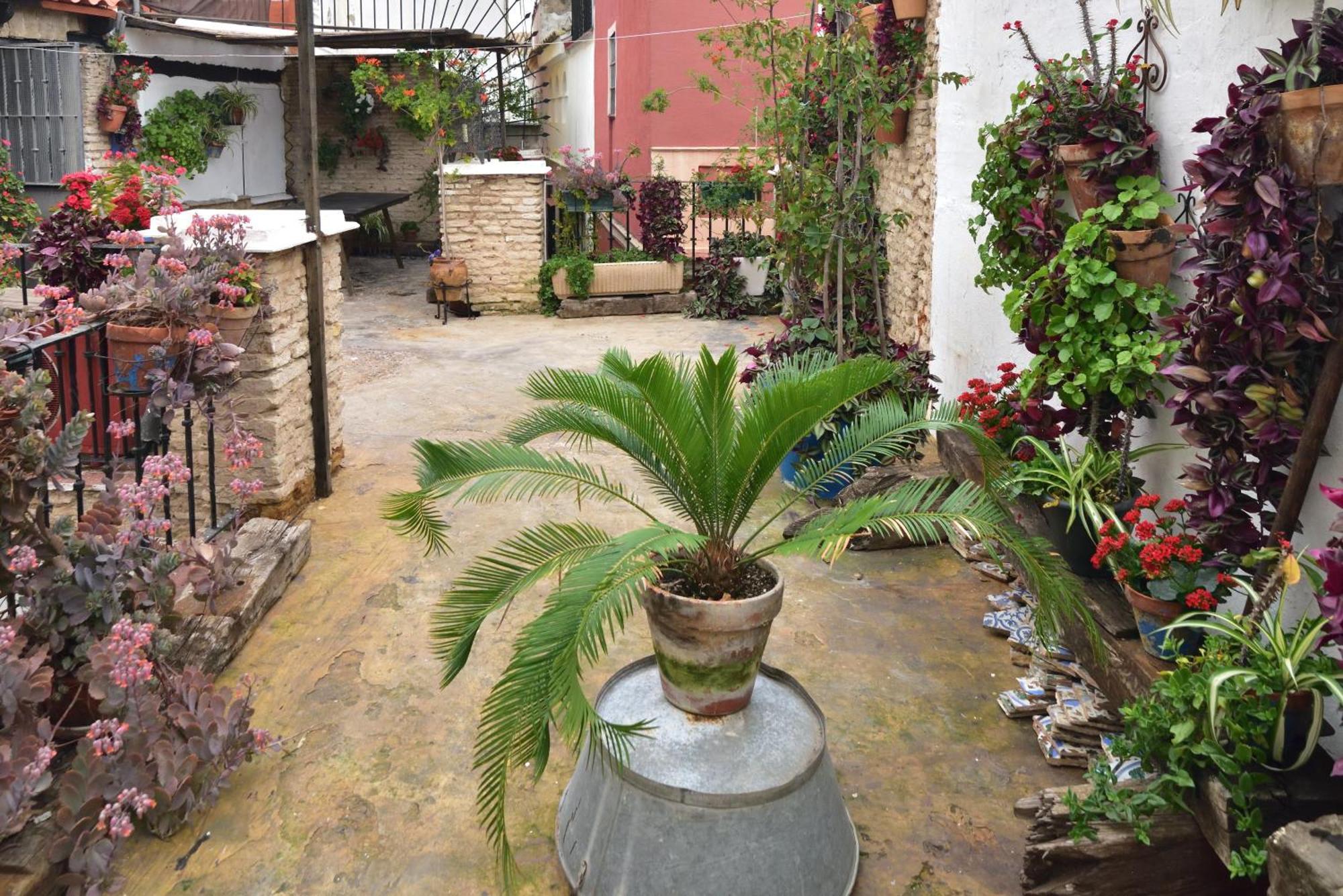 Suite Dona Ines Barrio Santacruz Seville Luaran gambar