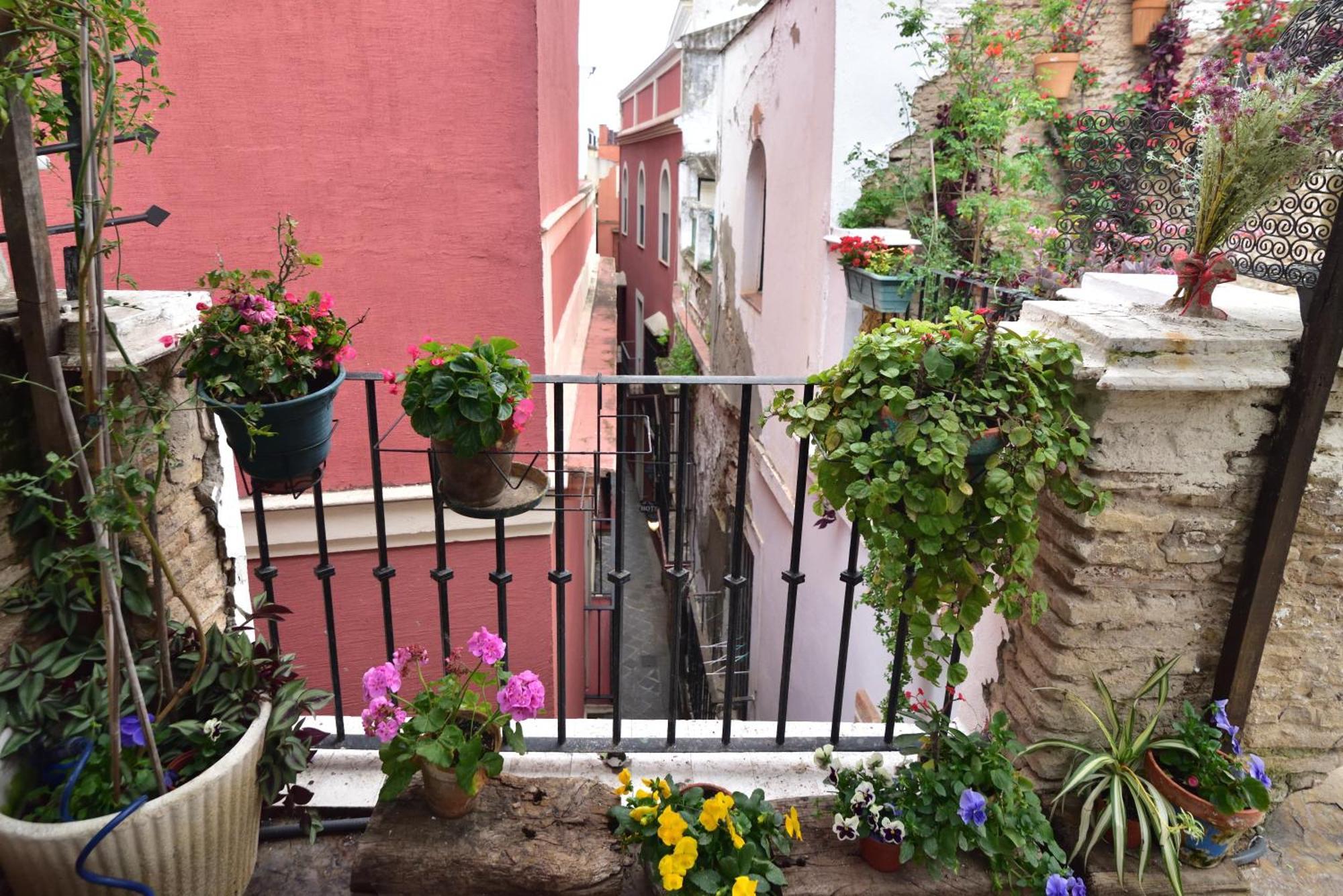 Suite Dona Ines Barrio Santacruz Seville Luaran gambar